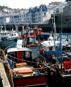 Fishing Boats at Brixham