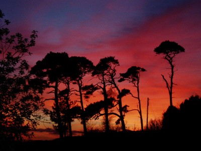 Sunset at Netherton