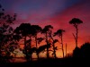 Sunset at Netherton