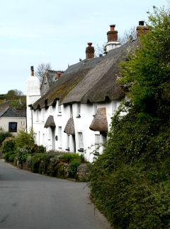 Thatched Cottages at Kingston