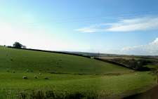 Looking West from Tor Cottage